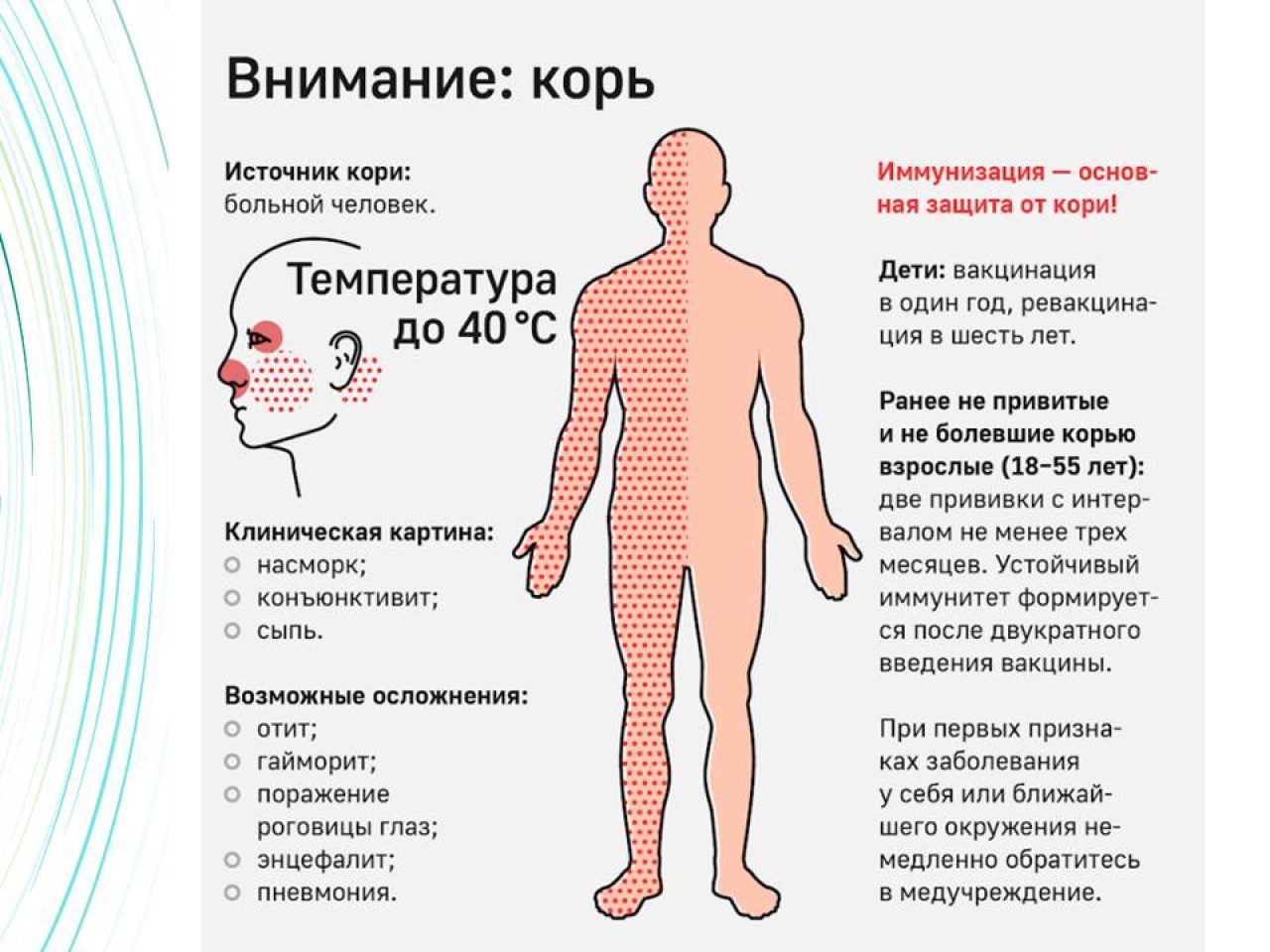 Внимание корь картинки